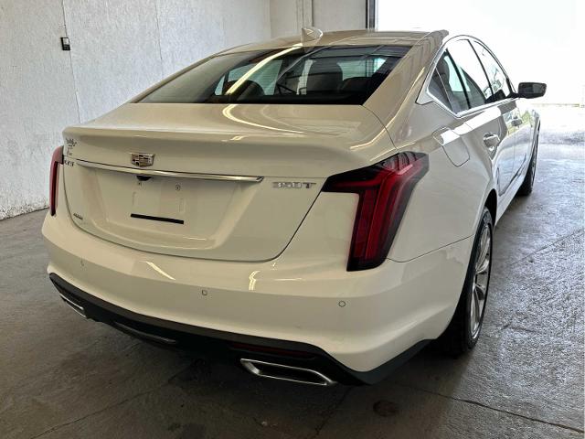 2020 Cadillac CT5 Vehicle Photo in RED SPRINGS, NC 28377-1640