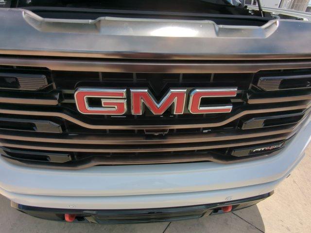 2023 GMC Sierra 1500 Vehicle Photo in SELMA, TX 78154-1460