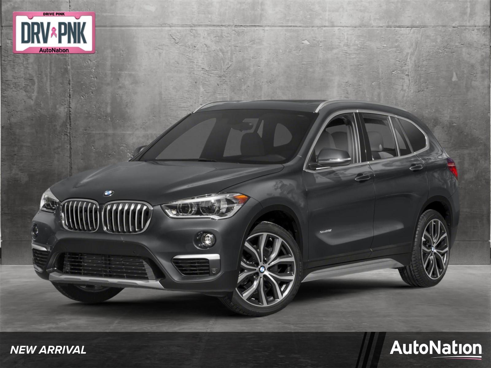 2019 BMW X1 sDrive28i Vehicle Photo in Wesley Chapel, FL 33544