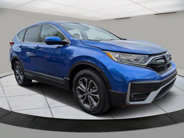 2022 Honda CR-V Vehicle Photo in Greeley, CO 80634-8763