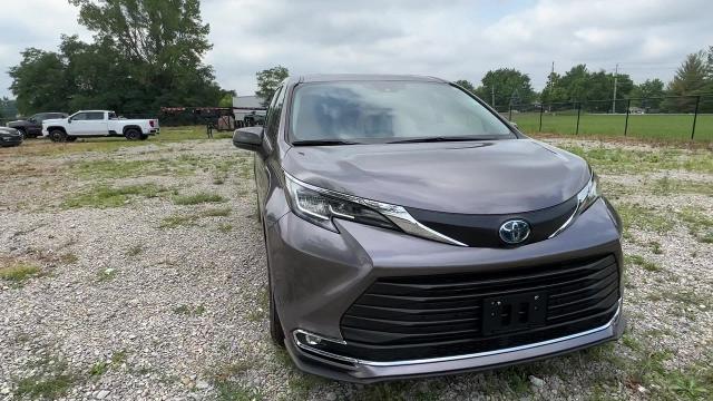 2022 Toyota Sienna Vehicle Photo in INDIANAPOLIS, IN 46227-0991