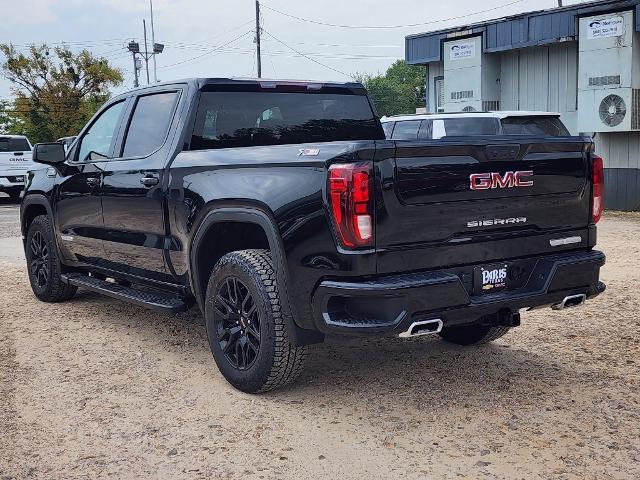 2024 GMC Sierra 1500 Vehicle Photo in PARIS, TX 75460-2116