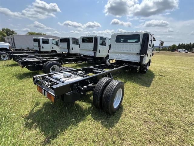 2025 Chevrolet Low Cab Forward 3500 Vehicle Photo in ALCOA, TN 37701-3235