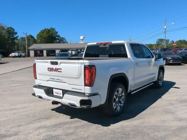 2025 GMC Sierra 1500 Vehicle Photo in ALBERTVILLE, AL 35950-0246