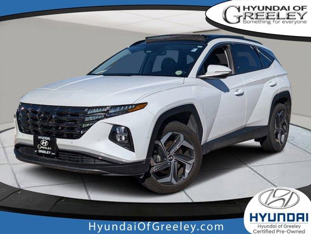 2023 Hyundai TUCSON Vehicle Photo in Greeley, CO 80634