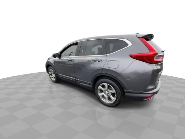 2019 Honda CR-V Vehicle Photo in WILLIAMSVILLE, NY 14221-4303