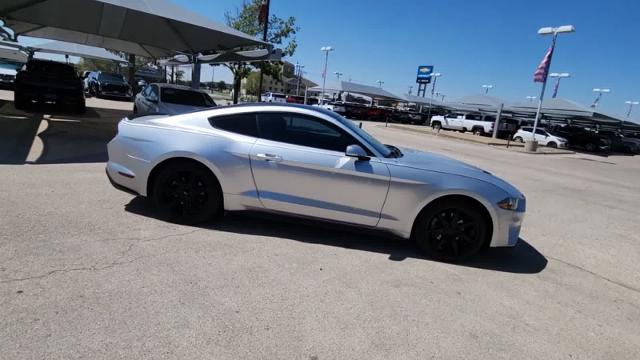 2019 Ford Mustang Vehicle Photo in Odessa, TX 79762