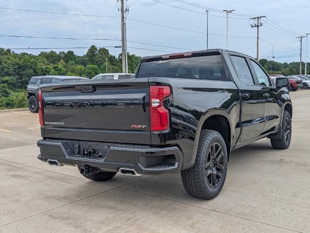 2024 Chevrolet Silverado 1500 Vehicle Photo in POMEROY, OH 45769-1023