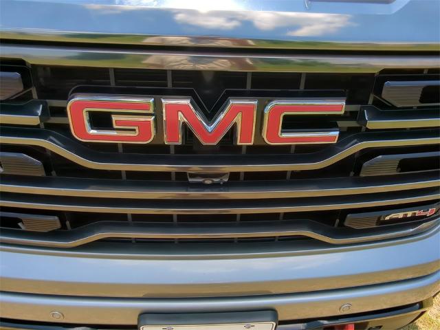 2023 GMC Sierra 1500 Vehicle Photo in ALBERTVILLE, AL 35950-0246