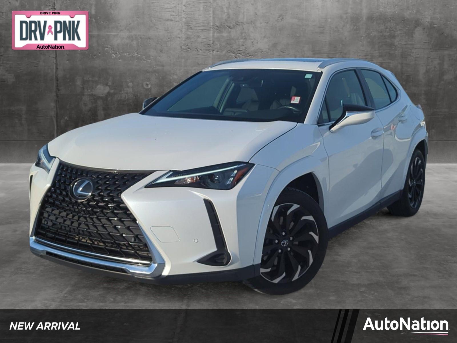 2023 Lexus UX 250h Vehicle Photo in Ft. Myers, FL 33907