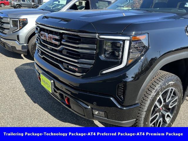 2025 GMC Sierra 1500 Vehicle Photo in CHICOPEE, MA 01020-5001