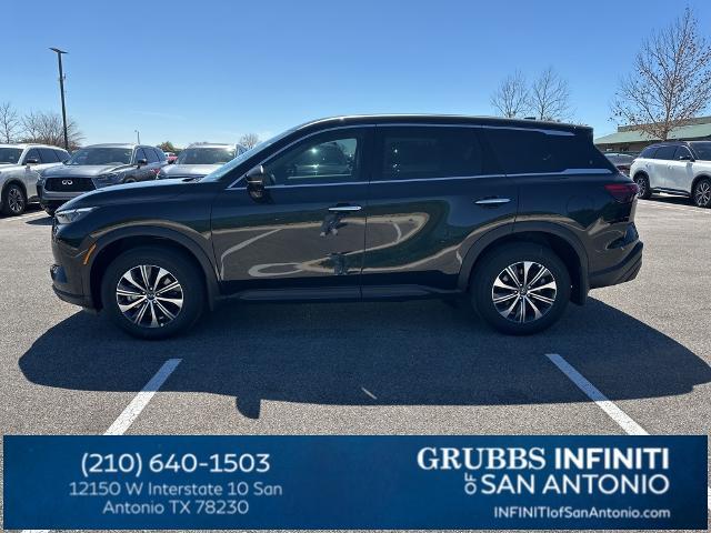 2024 INFINITI QX60 Vehicle Photo in San Antonio, TX 78230