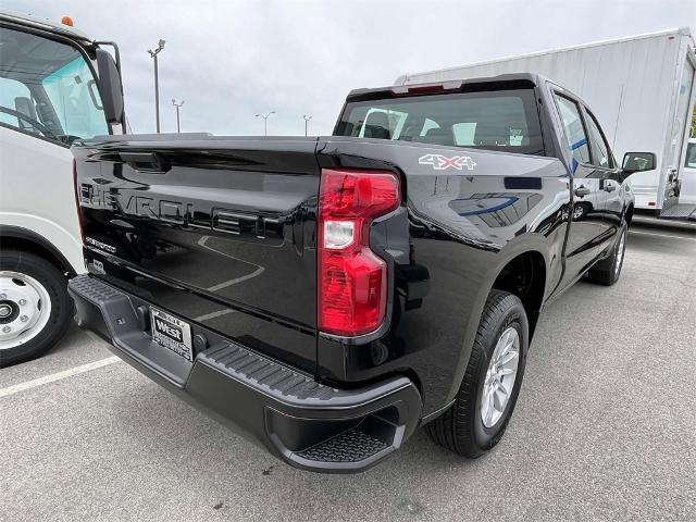 2024 Chevrolet Silverado 1500 Vehicle Photo in ALCOA, TN 37701-3235