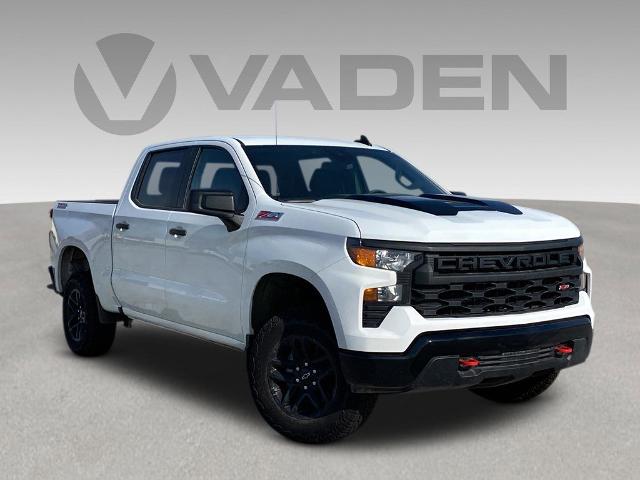 2024 Chevrolet Silverado 1500 Vehicle Photo in SAVANNAH, GA 31406-4513