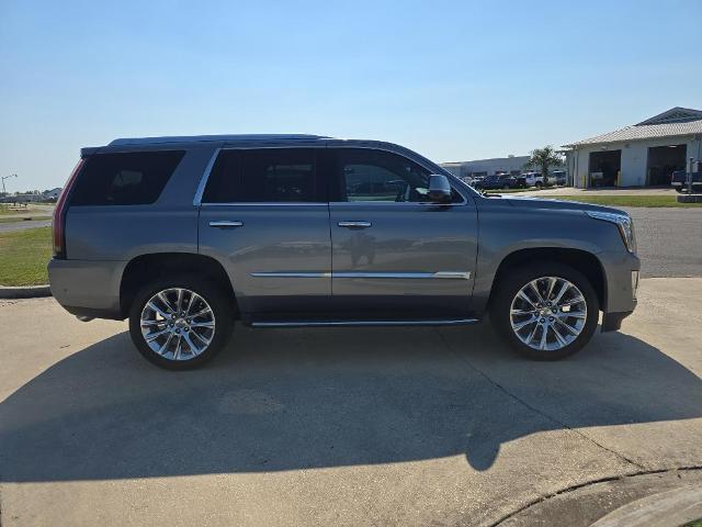 2019 Cadillac Escalade Vehicle Photo in BROUSSARD, LA 70518-0000