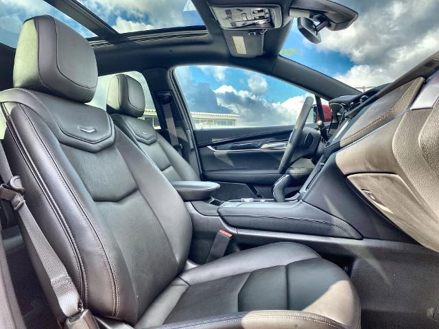 2024 Cadillac XT5 Vehicle Photo in WILLIAMSVILLE, NY 14221-2883