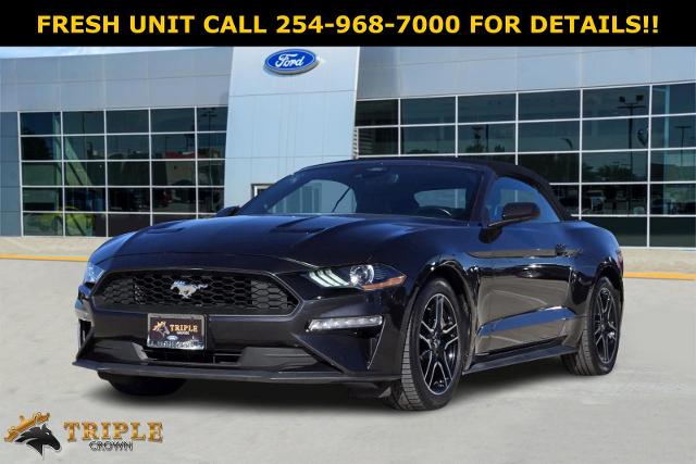 2022 Ford Mustang Vehicle Photo in STEPHENVILLE, TX 76401-3713