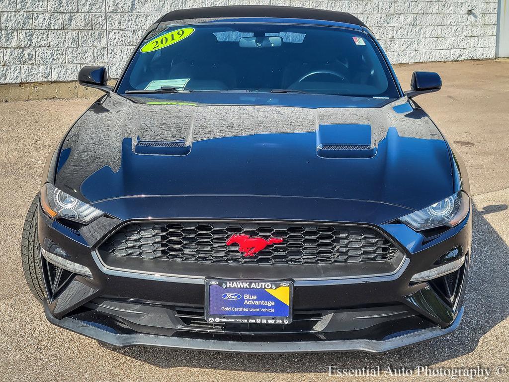 2019 Ford Mustang Vehicle Photo in Saint Charles, IL 60174