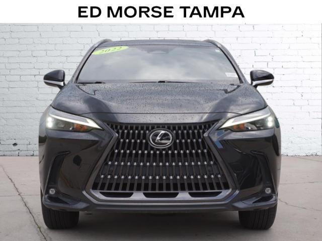 2022 Lexus NX Vehicle Photo in TAMPA, FL 33612-3404