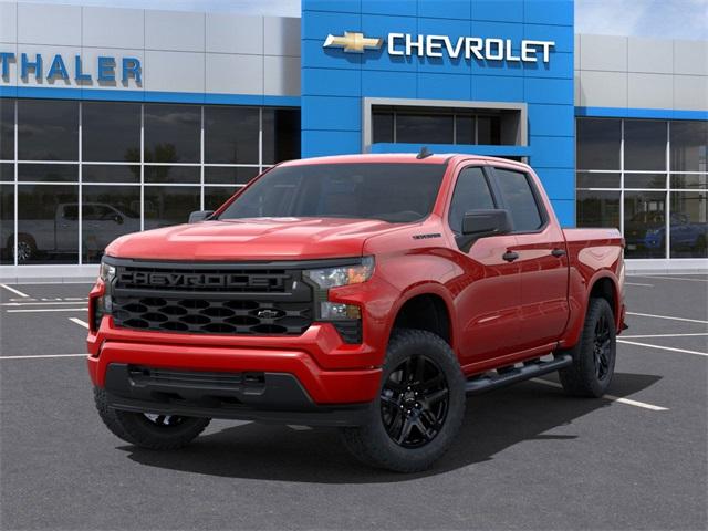 2024 Chevrolet Silverado 1500 Vehicle Photo in GLENWOOD, MN 56334-1123