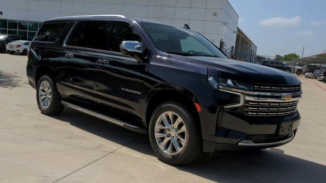 2023 Chevrolet Suburban Vehicle Photo in SELMA, TX 78154-1459