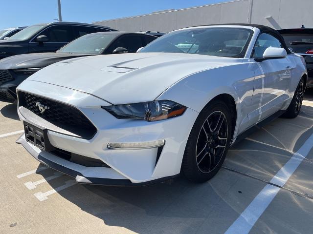 2022 Ford Mustang Vehicle Photo in Grapevine, TX 76051