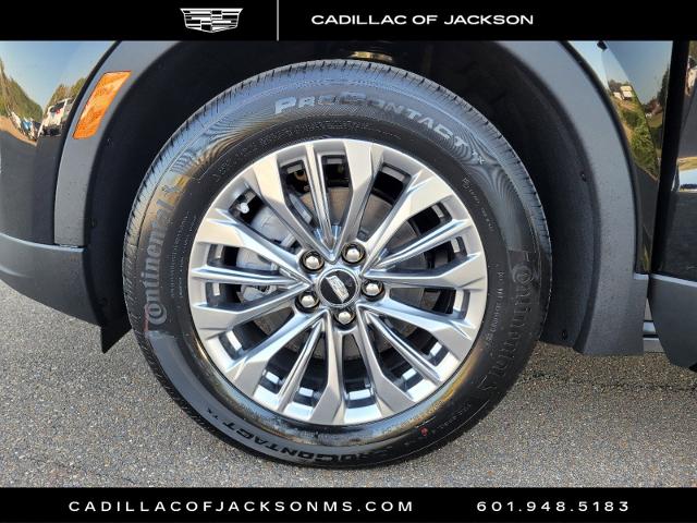 2025 Cadillac XT4 Vehicle Photo in RIDGELAND, MS 39157-4406