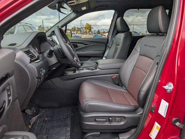 2025 Honda Passport Vehicle Photo in Greeley, CO 80634-8763