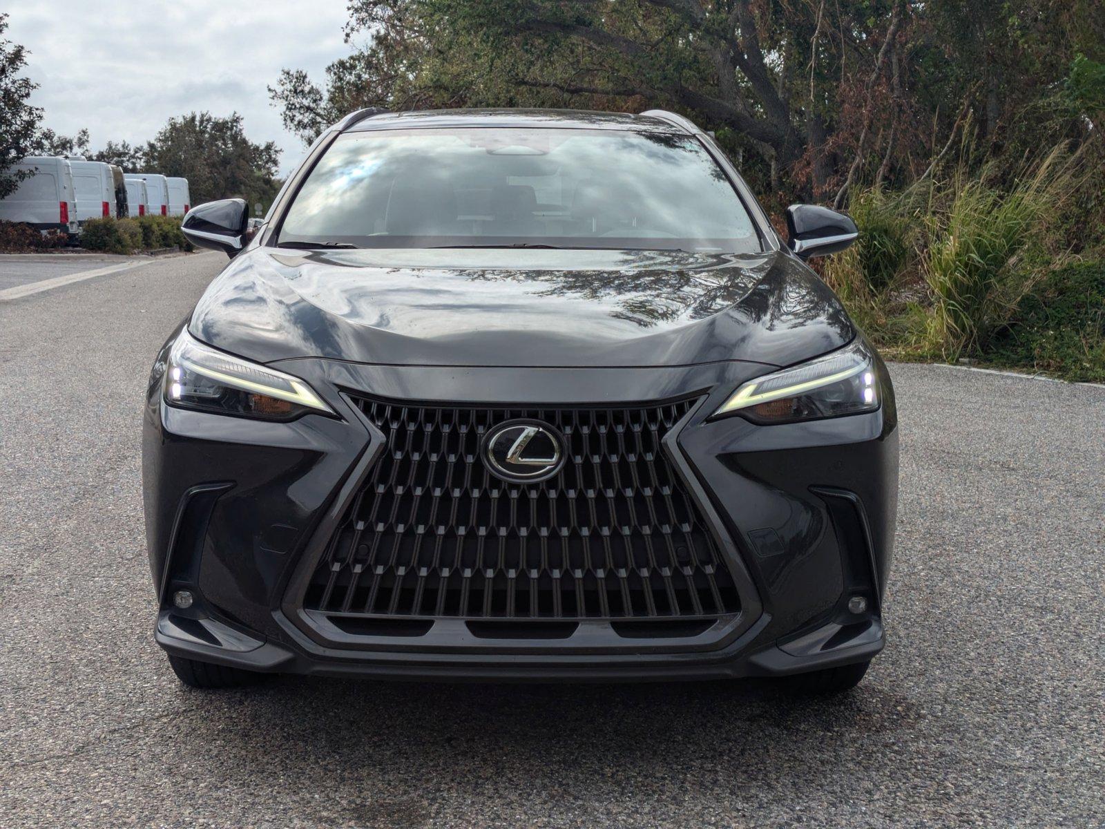 2022 Lexus NX 350 Vehicle Photo in Clearwater, FL 33761