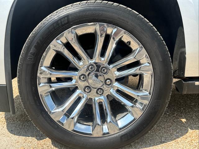 2019 Cadillac Escalade Vehicle Photo in DUNN, NC 28334-8900