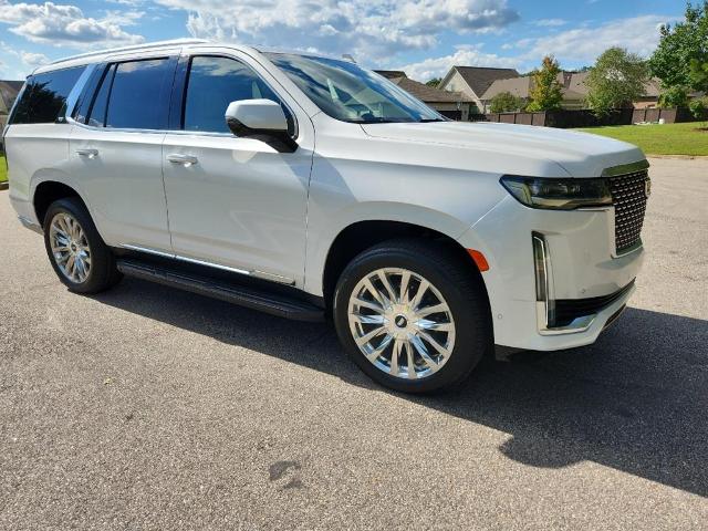 2023 Cadillac Escalade Vehicle Photo in AUBURN, AL 36830-7007