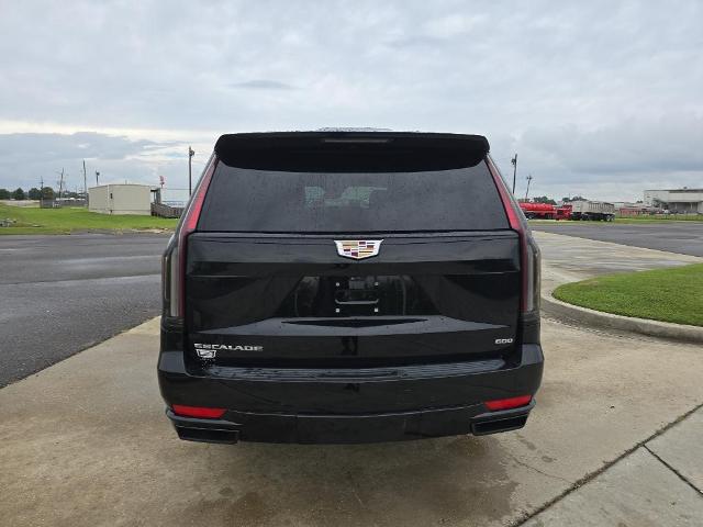 2021 Cadillac Escalade ESV Vehicle Photo in BROUSSARD, LA 70518-0000