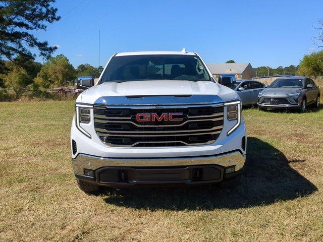 2025 GMC Sierra 1500 Vehicle Photo in ALBERTVILLE, AL 35950-0246