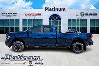 2024 Ram 3500 Vehicle Photo in Terrell, TX 75160