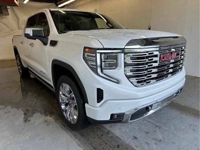 2024 GMC Sierra 1500 Vehicle Photo in RED SPRINGS, NC 28377-1640