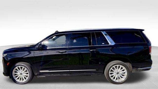 2023 Cadillac Escalade ESV Vehicle Photo in DELRAY BEACH, FL 33483-3294