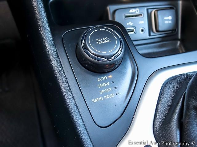 2018 Jeep Cherokee Vehicle Photo in OAK LAWN, IL 60453-2517