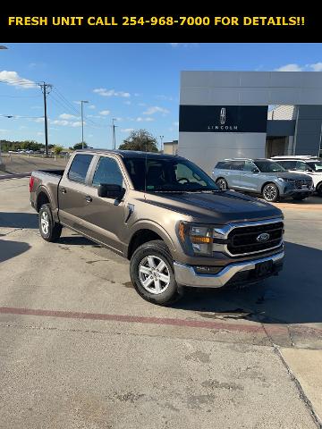 2023 Ford F-150 Vehicle Photo in STEPHENVILLE, TX 76401-3713