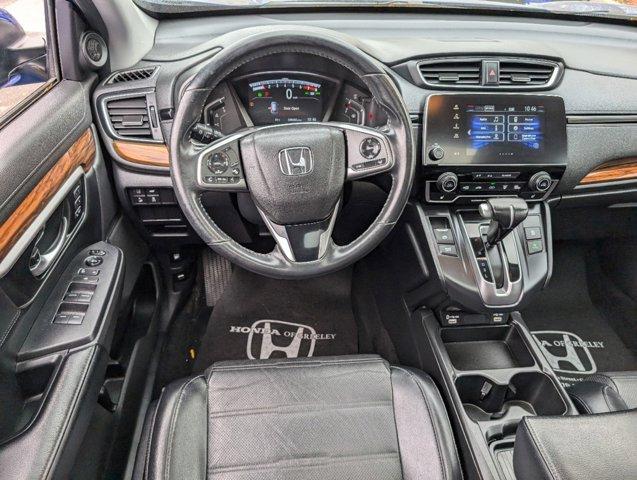 2022 Honda CR-V Vehicle Photo in Greeley, CO 80634-8763