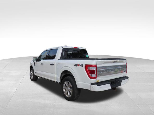 2023 Ford F-150 Vehicle Photo in DELRAY BEACH, FL 33483-3294