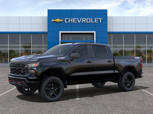 2024 Chevrolet Silverado 1500 Vehicle Photo in HOUSTON, TX 77034-5009