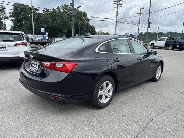 2024 Chevrolet Malibu Vehicle Photo in ALCOA, TN 37701-3235