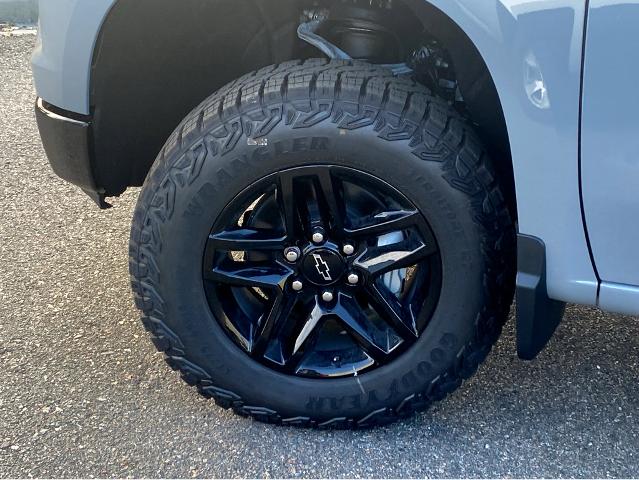 2025 Chevrolet Silverado 1500 Vehicle Photo in SAVANNAH, GA 31406-4513