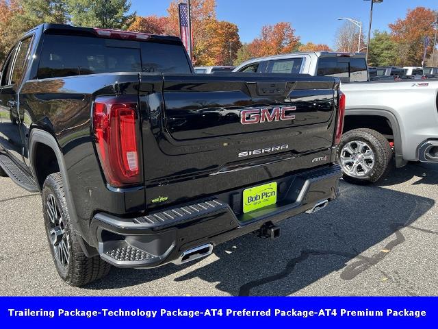 2025 GMC Sierra 1500 Vehicle Photo in CHICOPEE, MA 01020-5001