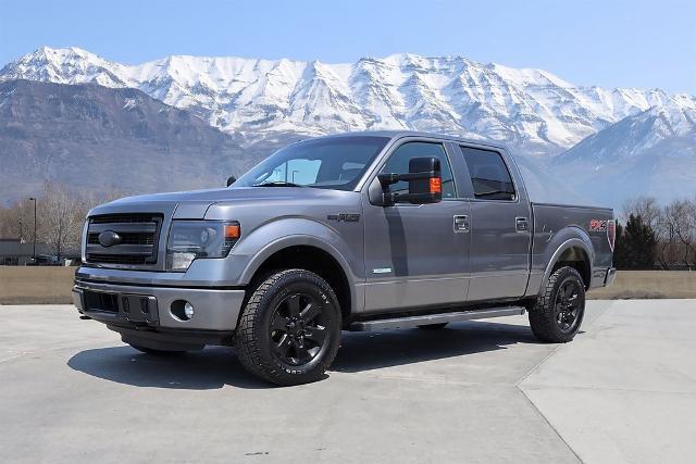 2014 Ford F-150 Vehicle Photo in AMERICAN FORK, UT 84003-3317