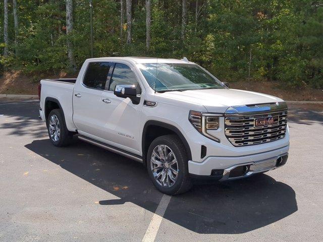 2025 GMC Sierra 1500 Vehicle Photo in ALBERTVILLE, AL 35950-0246