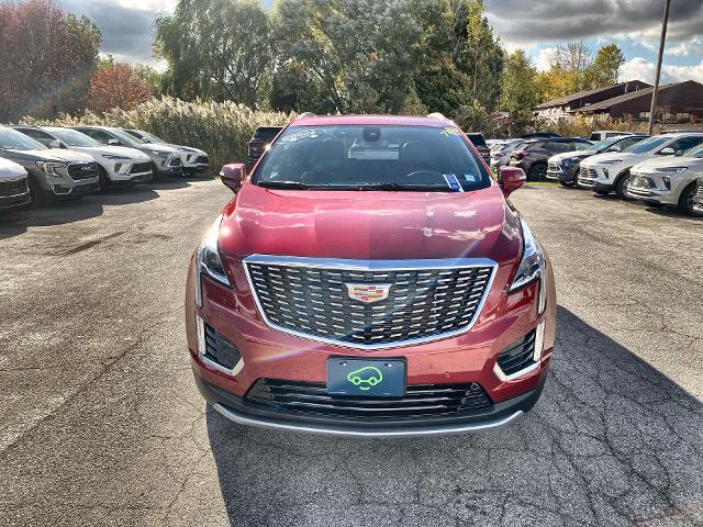 2024 Cadillac XT5 Vehicle Photo in WILLIAMSVILLE, NY 14221-2883