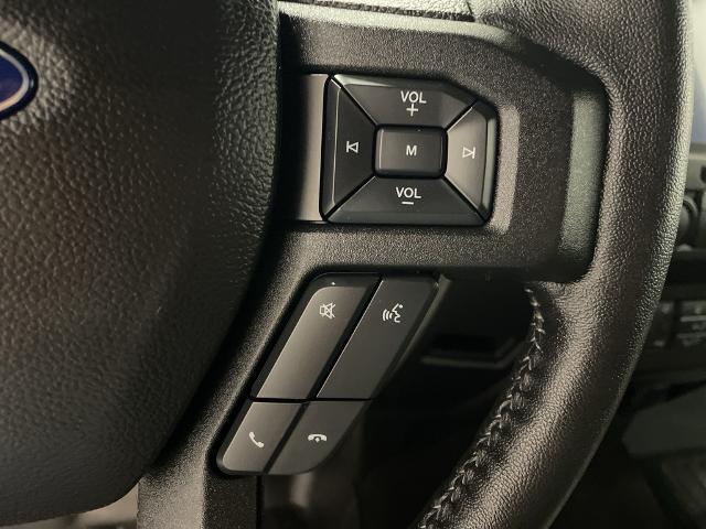 2019 Ford F-150 Vehicle Photo in ROGERS, MN 55374-9422