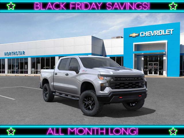 2025 Chevrolet Silverado 1500 Vehicle Photo in MOON TOWNSHIP, PA 15108-2571