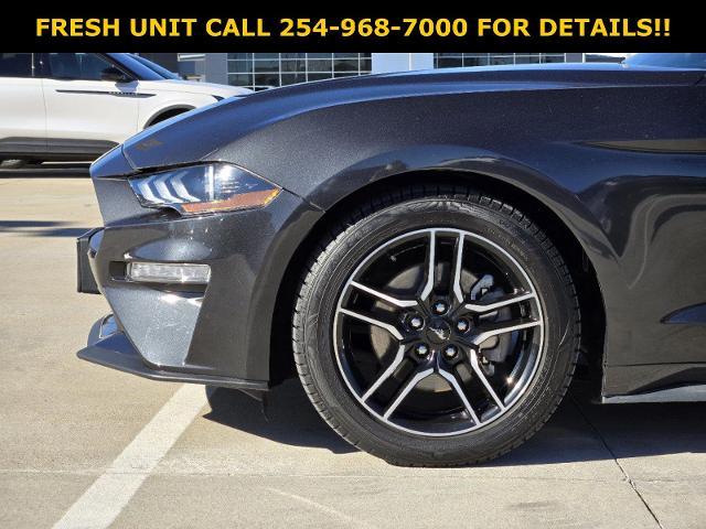 2022 Ford Mustang Vehicle Photo in STEPHENVILLE, TX 76401-3713